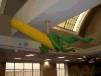 Img442.png